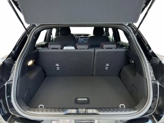 FORD Nuova Puma ST-Line 1.0 EcoBoost Hybrid  125CV Trasmissione manuale a 6 rapporti Trazione anteriore