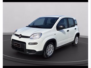 FIAT Panda 1.0 firefly hybrid s&s 70cv
