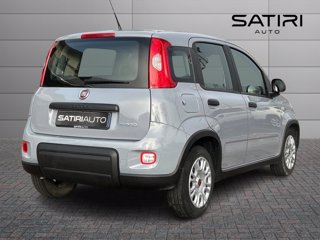 FIAT Panda 1.0 firefly hybrid s&s 70cv