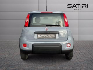 FIAT Panda 1.0 firefly hybrid s&s 70cv