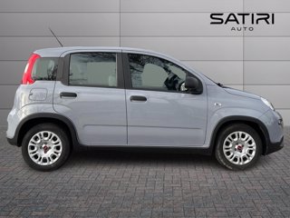 FIAT Panda 1.0 firefly hybrid s&s 70cv