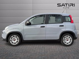 FIAT Panda 1.0 firefly hybrid s&s 70cv